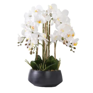 Vit orkidé 52 cm m/svart kruka