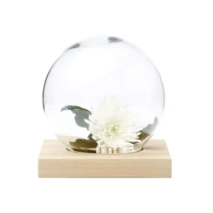 Space Decoration